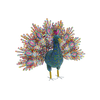Peacock, Multi (1 Piece)