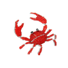 Minimal, Crab  (Set of 3)